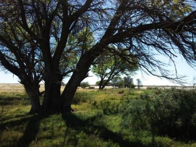 Commercial Property for Sale in Dealesville Free State